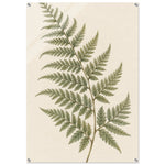 Soft Fern delicate green botanical artwork on glossy acrylic — product view 6