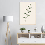 Olive Branch minimalist olive foliage botanical framed wall art — product image 25