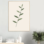 Olive Branch minimalist olive foliage botanical framed wall art — product image 24