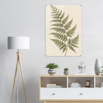 Soft Fern delicate green botanical artwork on glossy acrylic — product view 10