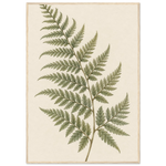 Amber Botanicals green and amber botanical framed wall art — product image 21