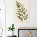 Amber Botanicals green and amber botanical framed wall art — product image 28