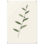 Olive Branch minimalist botanical art in green and charcoal on glossy acrylic — product view 6