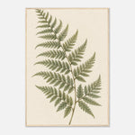 Amber Botanicals green and amber botanical framed wall art — product image 22