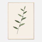 Olive Branch minimalist olive foliage botanical framed wall art — product image 22