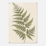 Soft Fern delicate green botanical artwork on glossy acrylic — product view 7