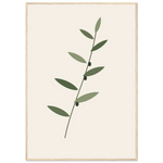 Olive Branch minimalist olive foliage botanical framed wall art — product image 21