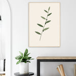 Olive Branch minimalist olive foliage botanical framed wall art — product image 28