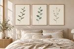 still botanicals clean vector trio in oak frames; interior styling illustration, frames not included