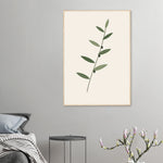 Olive Branch minimalist olive foliage botanical framed wall art — product image 23