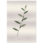 Olive Branch botanical wall art printed on brushed aluminium — product image 6