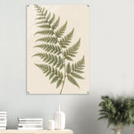 Soft Fern delicate green botanical artwork on glossy acrylic — product view 9