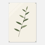 Olive Branch minimalist botanical art in green and charcoal on glossy acrylic — product view 7